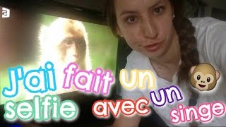 🌈 Jai fait un selfie avec un singe 🐵  Emmaanyvlog  24 [upl. by Ahsemad]