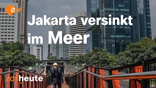 Indonesiens neue Hauptstadt MegaProjekt Nusantara  auslandsjournal [upl. by Idnyc]