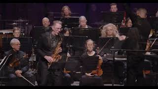 Whimsical Concerto of Fanciful Birds  Timothy McAllister  Vince Ho  Saskatoon Symphony Orchestra [upl. by Madson]