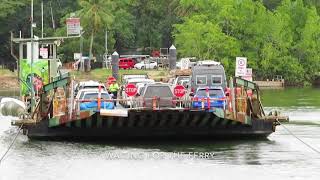 Daintree Ferry Daintree [upl. by Etram218]