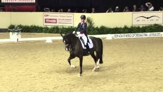 Valegro World Cup 2015 Las Vegas [upl. by Kearney]