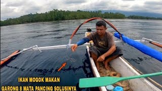 Mancing TradisionalBulu Ayam amp Garong Matahari [upl. by Hailahk]