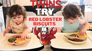 Twins Try Red Lobster Biscuits  Get to Know the Twins prematurity complications [upl. by D'Arcy]