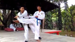 cara membanting orang Taekwondo BANYUWANGI [upl. by Champagne632]