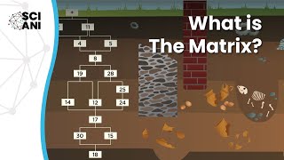 What is The Matrix How do archaeologists use stratigraphy [upl. by Allebram]