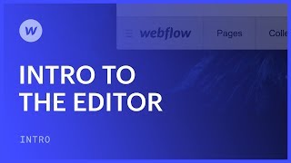 Using the Editor for clients and collaborators  Webflow tutorial [upl. by Doi161]