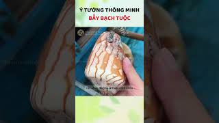 Ý tưởng siêu thông minh nhờ vỏ Ốc sautrongtanla [upl. by Vano]