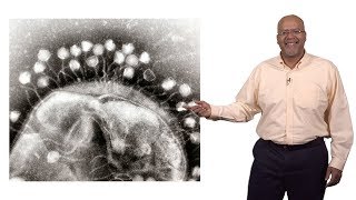 Paul E Turner Yale 3 Phage Therapy [upl. by Lehcem]