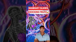 MAMMARY GLANDS The Shocking Truth Behind Their Function 😱  Biology NEET  Class 12th [upl. by Aihsenal]