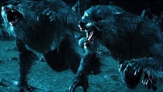 Top 10 Werewolf Movies REDUX [upl. by Nibroc]