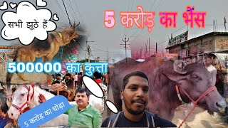 sonpur Mela mein sab kuchh fake hai सोनपुर मेले में सब कुछ फेक है [upl. by Garfield]