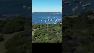 Punta Del Este Uruguay uruguay puntadeleste travel viajes turismo playas beach beaches [upl. by Applegate]