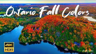 Experience the MOST BREATHTAKING Fall Drone Footage of Muskoka [upl. by Imit]