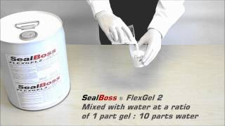 Hydrophilic Chemical Grout Gel  SealBoss Flexgel 2 [upl. by Baniez943]