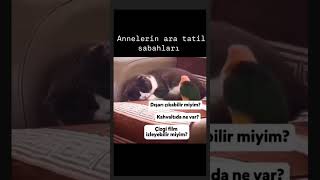 Ara tatil nasıl geçiyor 🤣🤣aratatil tatil comedy shorts annelik [upl. by Latham]