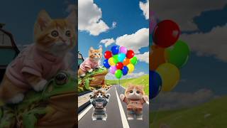 Frog And cat kitten steal my balloon 🎈😭 cat catvideo funny [upl. by Storfer438]