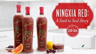 Ningxia Red A Seed to Seal Story  Young Living Essential Oils [upl. by Jarvis261]