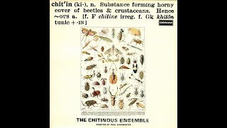 The Chitinous Ensemble 1971 quotChitinousquot Suite [upl. by Oiligriv51]