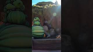 POV Tianas Bayou Adventure Disneyland Resort Ride Part 2 shorts disney disneyland travel [upl. by Taffy572]