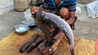 🔴Amazing Blood Carp Fish Cutting Skills  Fish Cutting Skills [upl. by Yllib]