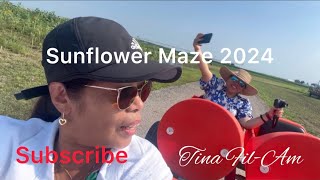 SUNFLOWER MAZE 2024 Tina FILAM [upl. by Llekcir841]