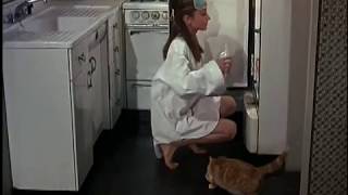 Audrey Hepburn  Moon River Breakfast at Tiffanys HD [upl. by Gaven]