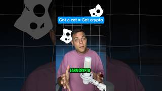 Get free crypto for photos of your cat crypto airdrop telegram hamsterkombat [upl. by Ahgem570]