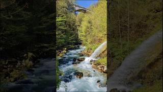 Taubenlochschlucht BielBienne switzerland travel canyon waterfall shortvideo [upl. by Merriott]