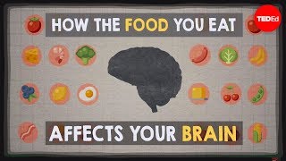 How the food you eat affects your brain  Mia Nacamulli [upl. by Cherrita]