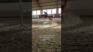 Keep going 🔥❤️‍🔥 equestrian horse horses pony pferde cheval hest trending funny hest [upl. by Isaak899]