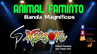 Karaokê Banda Magníficos  Animal Faminto [upl. by Averill]