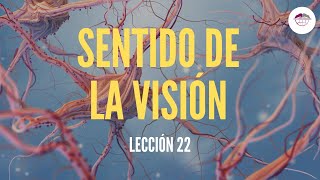 22 SENTIDO DE LA VISIÓN FISIOLOGÍA DEL SISTEMA NERVIOSO [upl. by Eicyak]