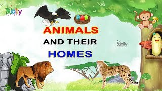 Animals and Their Home Names For Kids In English  Animal Homes  Homes of Animals and Birds [upl. by Brien]