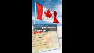 Canadá restringe permisos para estudiantes y trabajadores [upl. by Yenroc981]