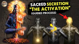 Sacred Secretion Activation  “Activate the Seed” Guided Meditation  Pineal Gland  Kundalini [upl. by Lotson]