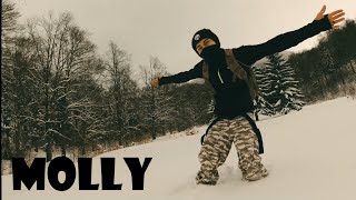 Gliša  Molly Official Video [upl. by Enilatan307]