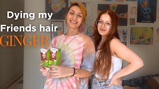 Dying my friends hair ginger BradMondo copperhair gingerhair dying viralvideo diy [upl. by Hassett]