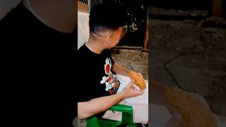 Mi hijo español probando empanada dominicana 🤤🙈 platillosgourmet empanadas rd [upl. by Nodarb953]