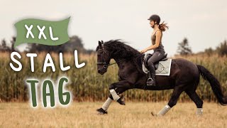 NEUE WEGE ERKUNDEN  Tino reiten  VLOG 88 [upl. by Bonneau310]