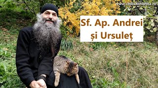 Sf Ap Andrei și Ursuleț  p Pimen Vlad [upl. by Lilllie]