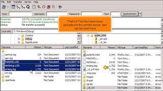 FTP How to Uploadtransfer Files Using FileZilla [upl. by Hy]