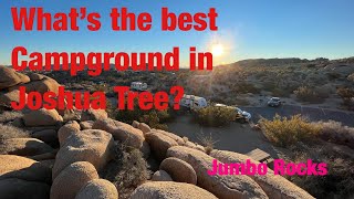 What’s the best campground in Joshua Tree  Jumbo Rocks Campground [upl. by Anam987]