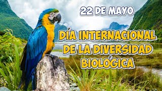 22 de mayo  DÍA INTERNACIONALDE LA DIVERSIDAD BIOLÓGICA [upl. by Vasily]