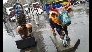 Oor Wullie Braveheart Statue and Highland Cow [upl. by Llimaj]