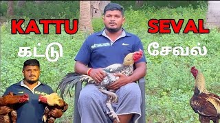 Kattu seval documentary  pets folder tamil [upl. by Idnahk866]