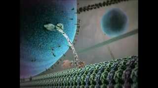 Kinesin protein walking on microtubule [upl. by Celina]