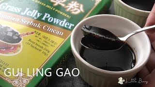 GUI LING GAO I CHINESE HERBAL JELLY [upl. by Tiemroth]