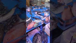 THAT PINK FISH IS TILAPIA viralvideo mentionyou trendingshorts [upl. by Boyden]