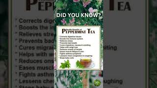 Health Benefits of Peppermint Tea [upl. by Erotavlas]