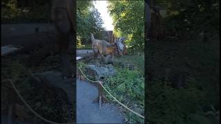 Helsinki Zoo 🦕🦖dinasaur shorts shortsfeed trending youtubeshorts [upl. by Chiquita]